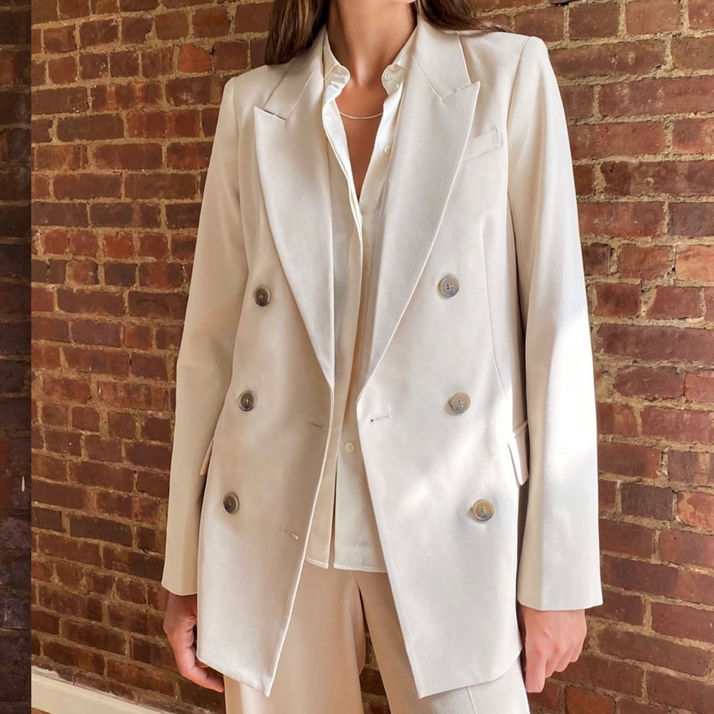 Aritzia Babaton Samuel Blazer